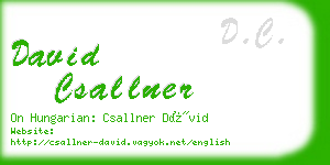 david csallner business card